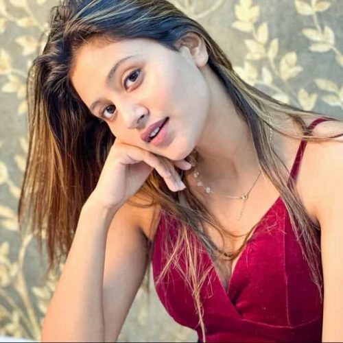 Anjali Arora Net Worth, Age, Family, Boyfriend, Biography, and More