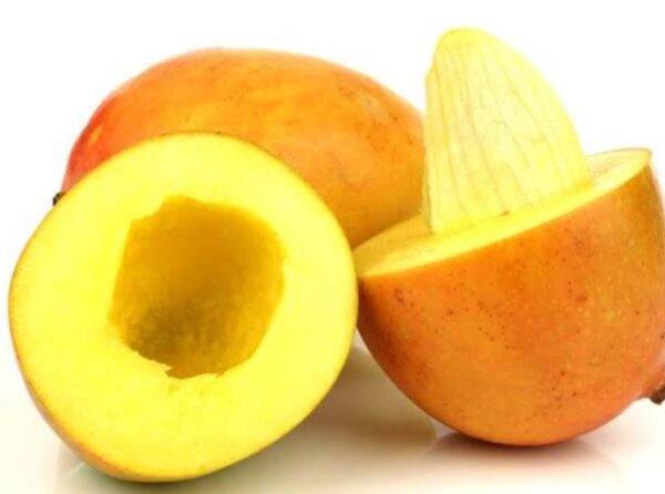 Benefits of Mango Seeds for Health, Skin, and Hair 