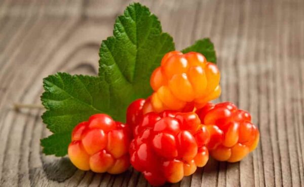 Cloudberries