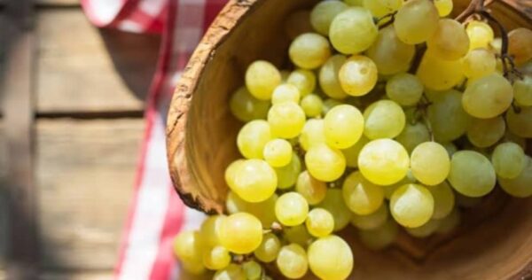 Grape's Nutritional Value and their Benefits 