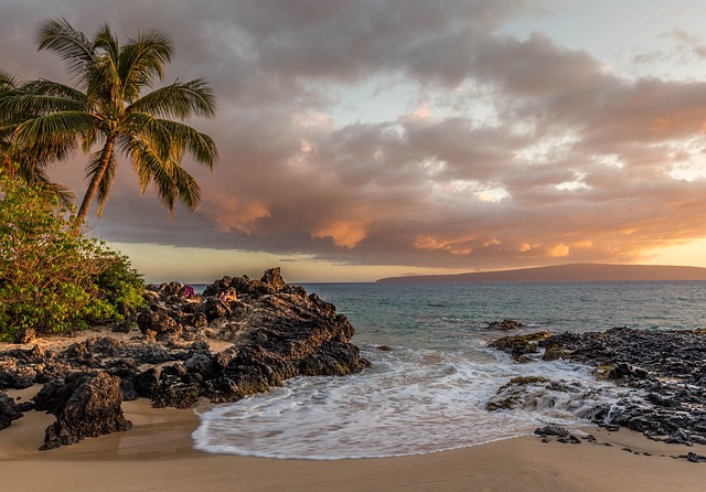 The Lone Beach