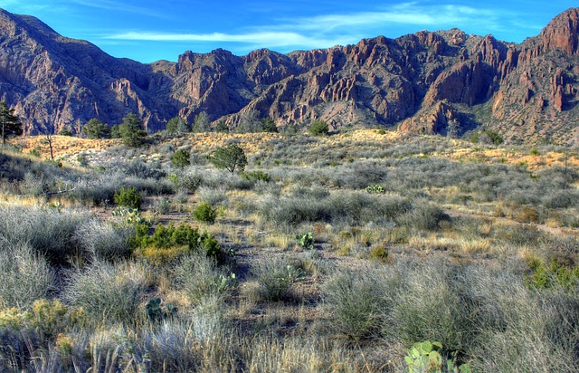 The Big Bend National Park, Texas