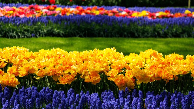 The Keukenhof, Netherlands