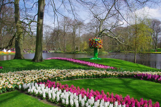 Keukenhof, Lisse