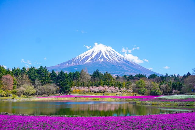 The Mount Fuji