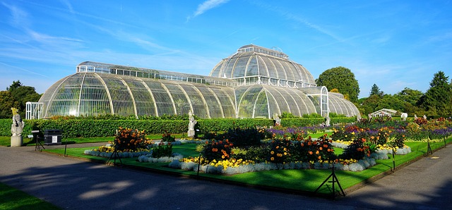 The Kew Royal Botanic Gardens