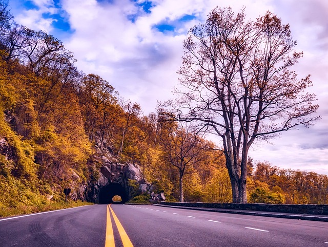 The Shenandoah National Park, Virginia