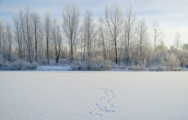 The Oymyakon